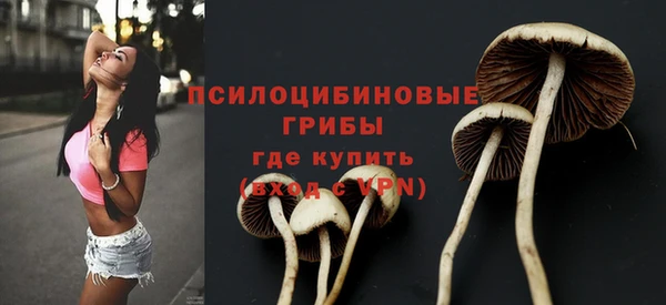 ALPHA-PVP Арсеньев
